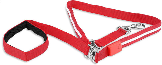 Blazin' Safety LED Dog Leash - USB Rechargeable Light, 6 Ft, Waterproof - Avoid Danger - Red